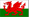 cymru_flag