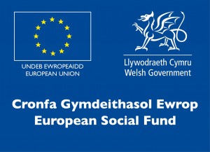 The Engineering Education Scheme Wales (EESW) | STEM Cymru